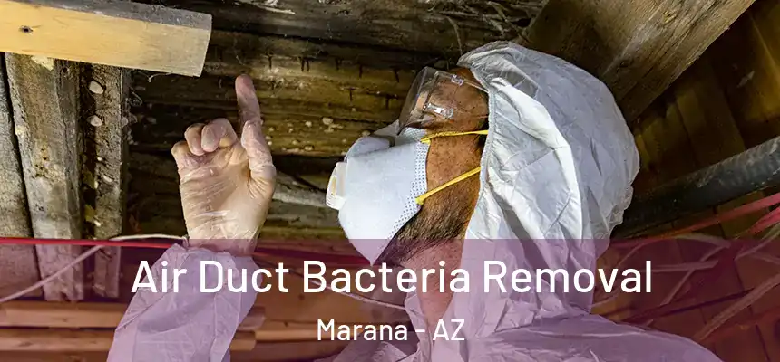 Air Duct Bacteria Removal Marana - AZ