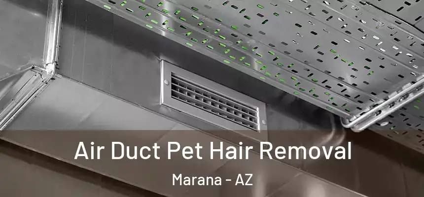  Air Duct Pet Hair Removal Marana - AZ