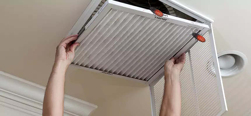 Preventive Cockroach-Proofing for Ducts in Marana