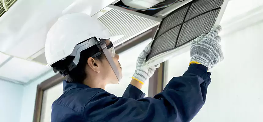 Our Mold & Mildew Removal from Air Ducts Services in Marana, AZ