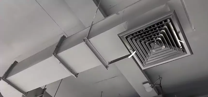 Our Pest Removal From Ducts Services in Marana, AZ