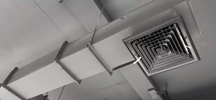 Our Rodent Droppings In Vents Services in Marana, AZ