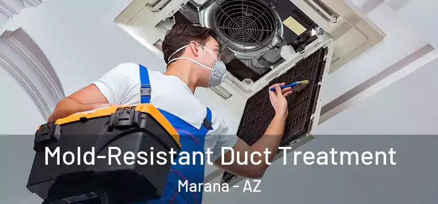  Mold-Resistant Duct Treatment Marana - AZ