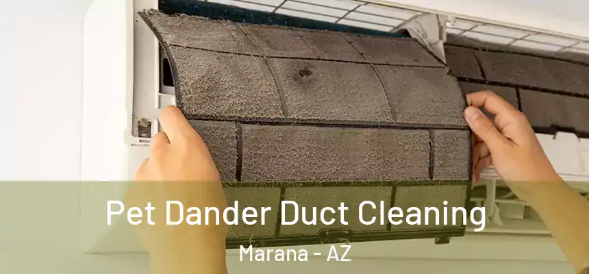  Pet Dander Duct Cleaning Marana - AZ