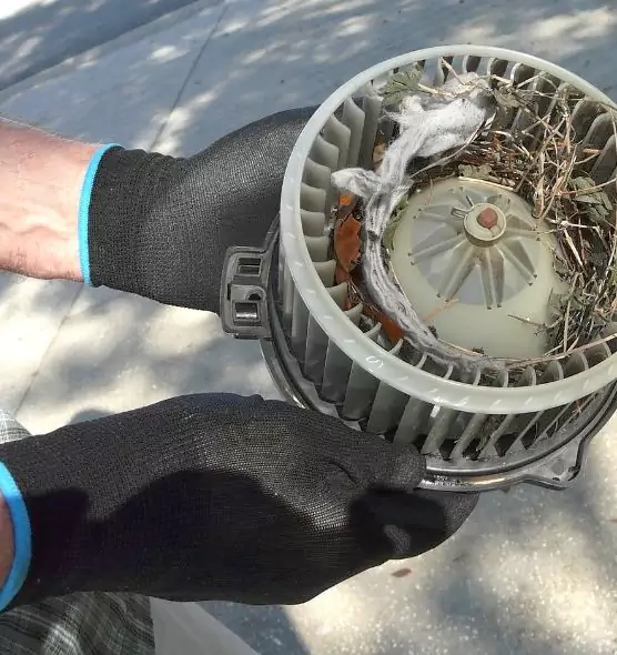 About Air Duct Mice Removal in Marana, AZ