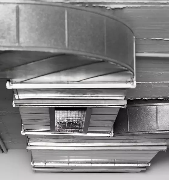 Professional Air Duct Pest Removal in Marana, AZ