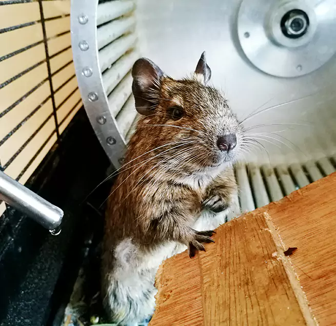 Why Homeowners & Businesses Trust Us Marana, AZ?