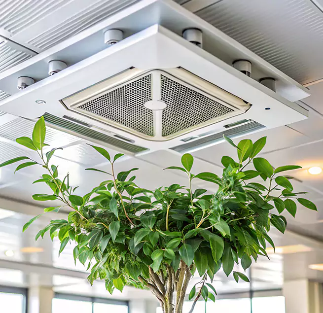 Why Homeowners & Businesses Trust Us in Marana, AZ?