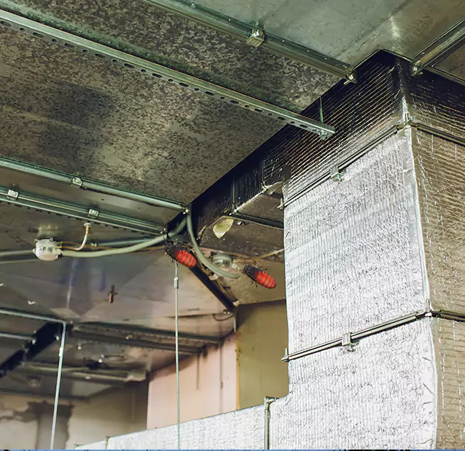 Why Homeowners & Businesses Trust Us Marana, AZ?