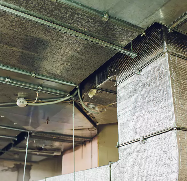 Why Homeowners & Businesses Trust Us in Marana, AZ?